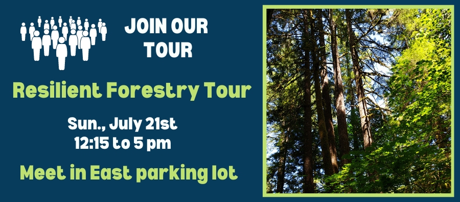 July 21_2024_Resilient Forestry Tour