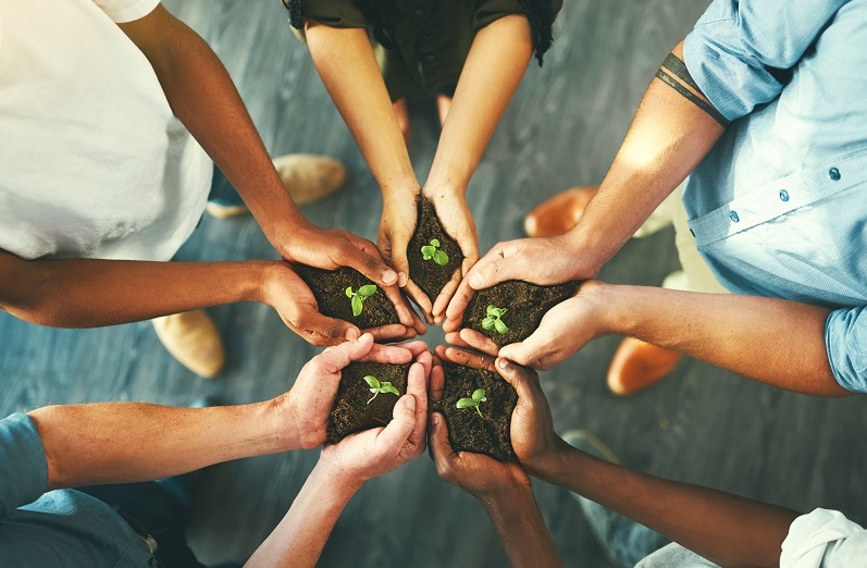 Plant, sustainability and support with hands of business people for teamwork, earth or environment from above. Collaboration, growth and investment with employees for future, partnership or community