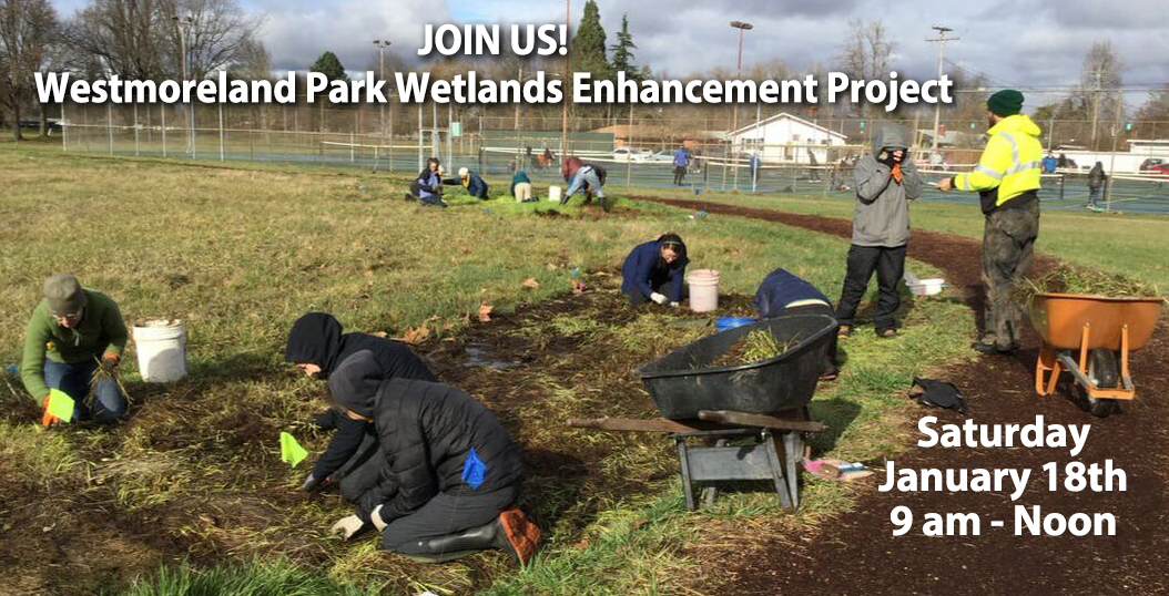 WestmorelandParkWetlands_Jan18_2025_WorkParty-JOIN-US